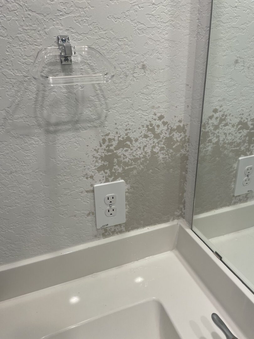 Bathroom wall with mold near sink.