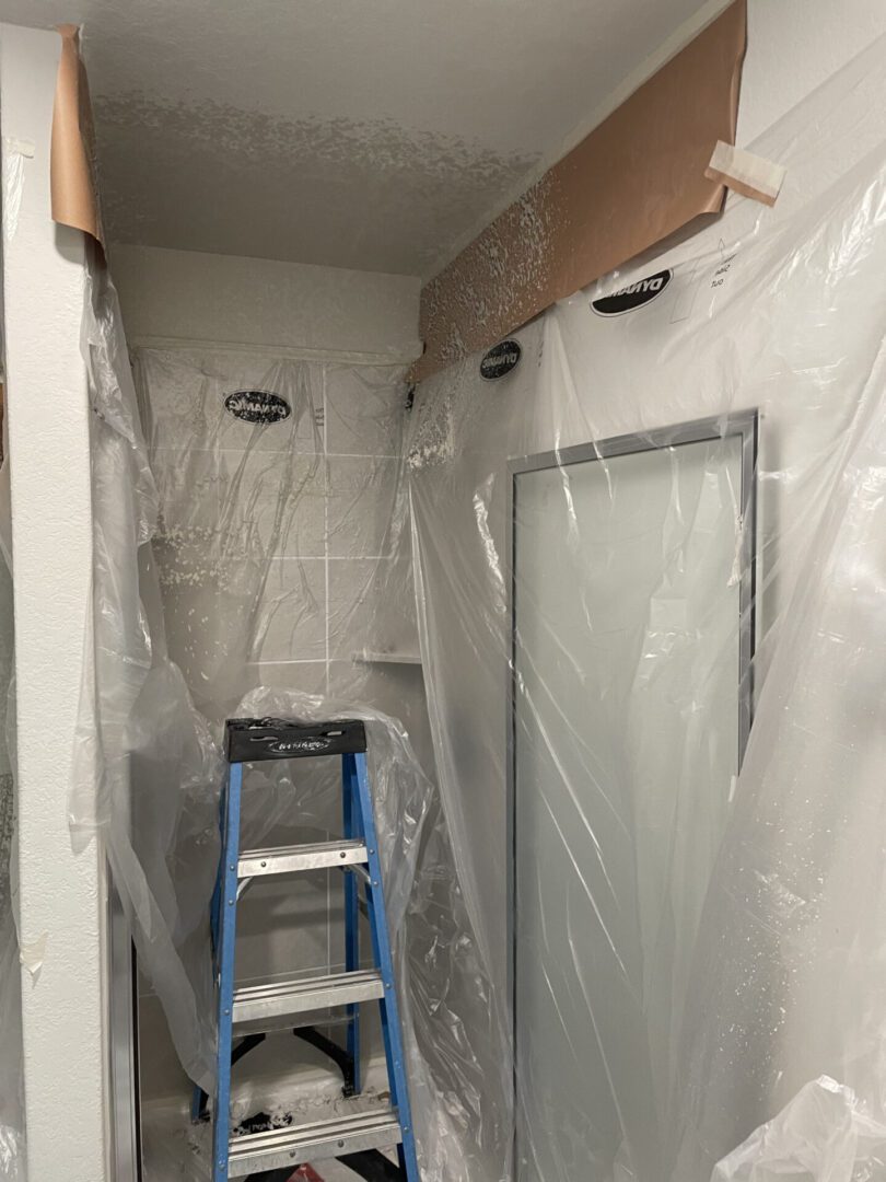 Bathroom renovation with ladder and plastic coverings.