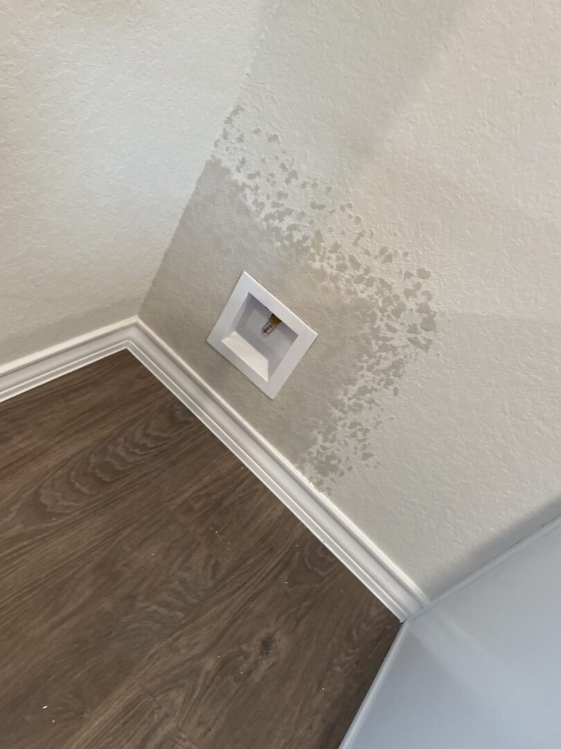 Wall with mold near electrical outlet.